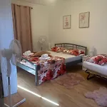 Roza Villa Rebici